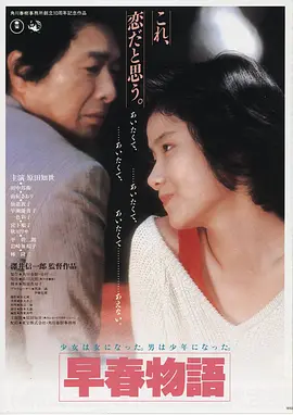 日韩精品电影《雪落无声》海报